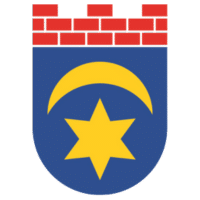 Gmina Leśna